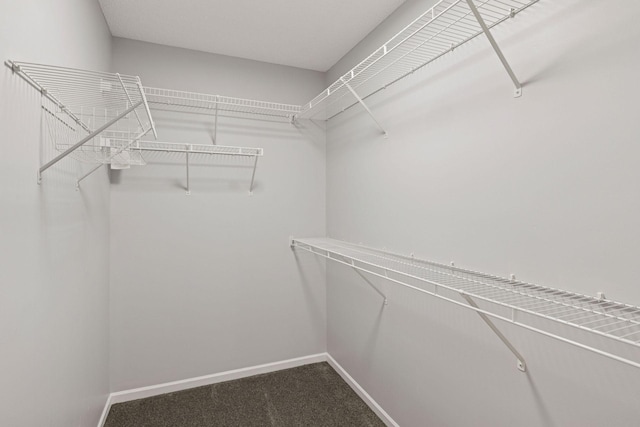 1418 Bluff St, Dundas, MN 55019 - walk in closet featuring dark colored carpet