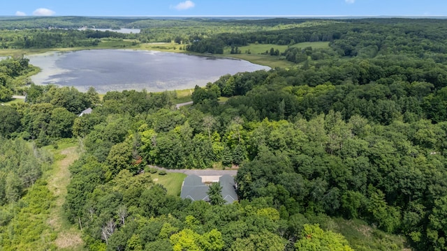 23967 Cuyuna Greens Dr, Deerwood, MN 56444 - photo 22