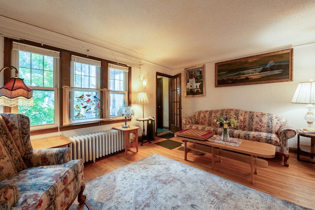 241 Queen Ave S, Minneapolis, MN 55405 - living area featuring radiator, wood finished floors, healthy amount of natural light, and a textured ceiling