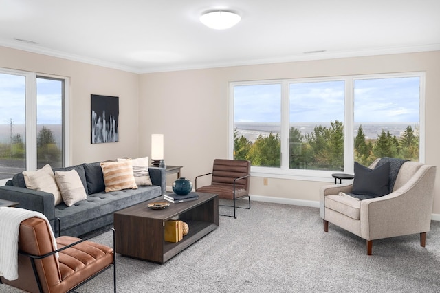 1101 Skyline Pkwy, Duluth, MN 55805 - living room featuring light colored carpet, crown molding, and baseboards