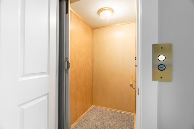 1101 Skyline Pkwy, Duluth, MN 55805 - elevator with carpet and baseboards