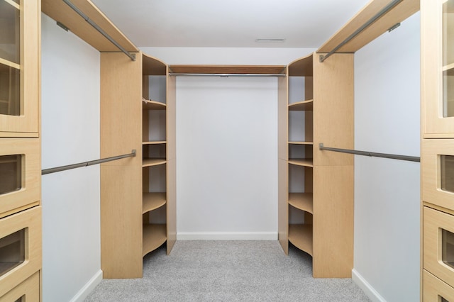 1101 Skyline Pkwy, Duluth, MN 55805 - spacious closet featuring light carpet