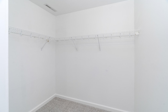 1101 Skyline Pkwy, Duluth, MN 55805 - walk in closet with light carpet