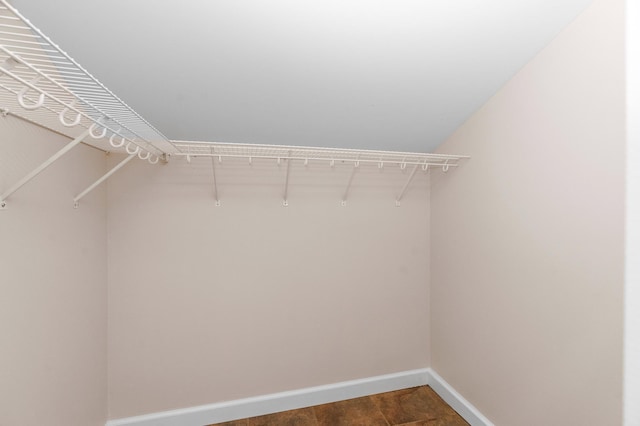 1101 Skyline Pkwy, Duluth, MN 55805 - view of walk in closet