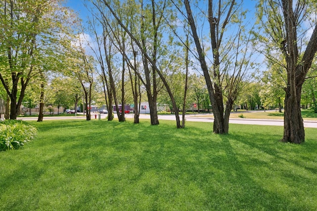 381 Ormsbee St, Big Lake, MN 55309 - view of grassy yard