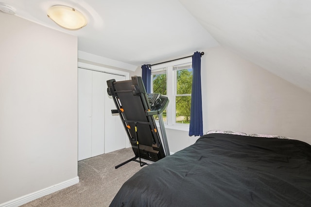 381 Ormsbee St, Big Lake, MN 55309 - bedroom with carpet, lofted ceiling, a closet, and baseboards