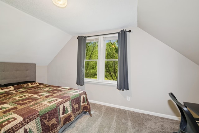381 Ormsbee St, Big Lake, MN 55309 - bedroom featuring vaulted ceiling, multiple windows, carpet floors, and baseboards