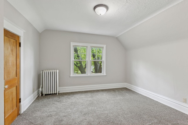 1418 Payne Ave, Saint Paul, MN 55130 - additional living space featuring radiator, vaulted ceiling, and carpet flooring