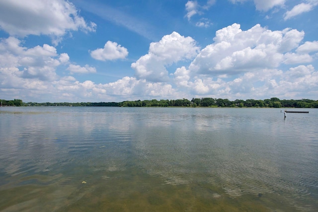 1418 Payne Ave, Saint Paul, MN 55130 - water view