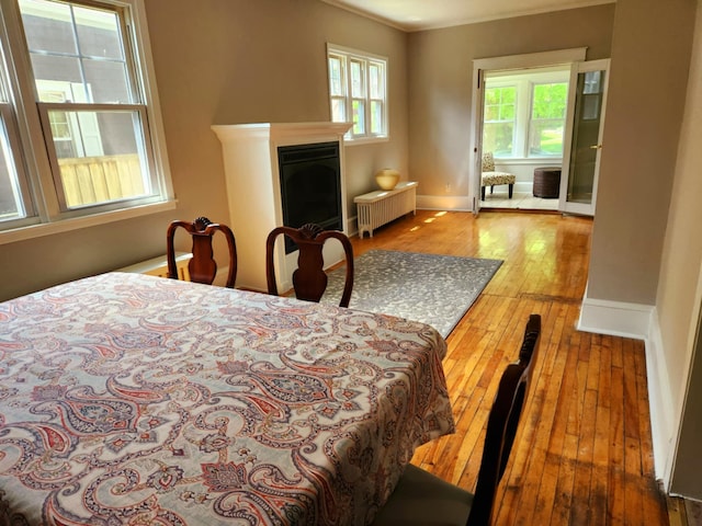 1418 Payne Ave, Saint Paul, MN 55130 - bedroom featuring radiator heating unit, hardwood / wood-style floors, crown molding, and a fireplace