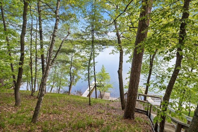 12463 White Island Dr, Crosslake, MN 56442 - photo 9