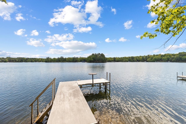 12463 White Island Dr, Crosslake, MN 56442 - photo 2