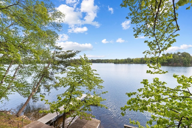 12463 White Island Dr, Crosslake, MN 56442 - photo 13