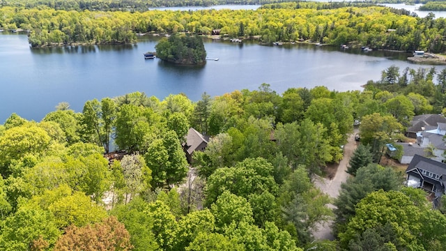 12463 White Island Dr, Crosslake, MN 56442 - photo 16