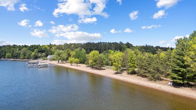 12463 White Island Dr, Crosslake, MN 56442 - photo 17