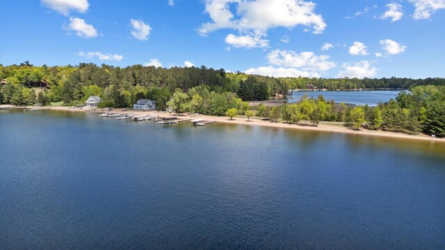 12463 White Island Dr, Crosslake, MN 56442 - photo 18