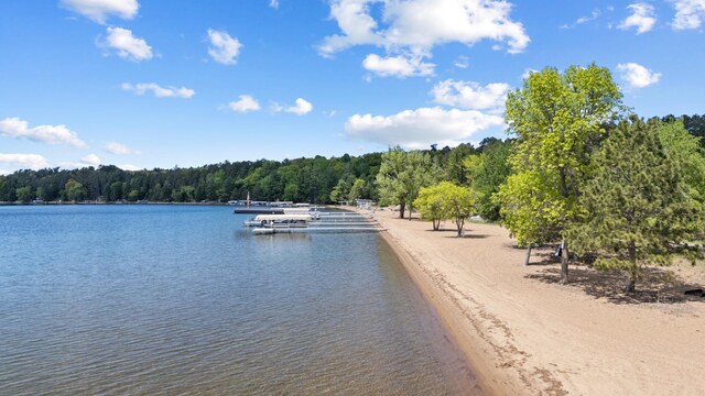 12463 White Island Dr, Crosslake, MN 56442 - photo 19