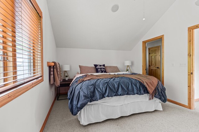 12463 White Island Dr, Crosslake, MN 56442 - photo 36