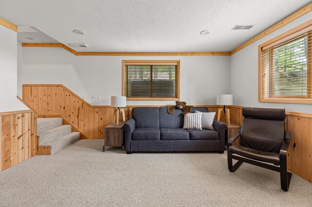12463 White Island Dr, Crosslake, MN 56442 - photo 41