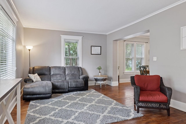 332 2nd St, New Richmond, WI 54017 - living area featuring wood finished floors, crown molding, and baseboards