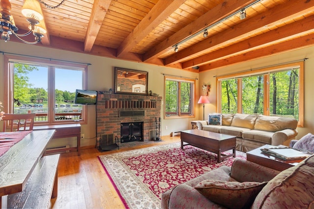 11690 Harbor Ln, Ideal Twp, MN 56442 - living room featuring track lighting, a chandelier, wood-type flooring, a baseboard radiator, and wood ceiling with exposed beams