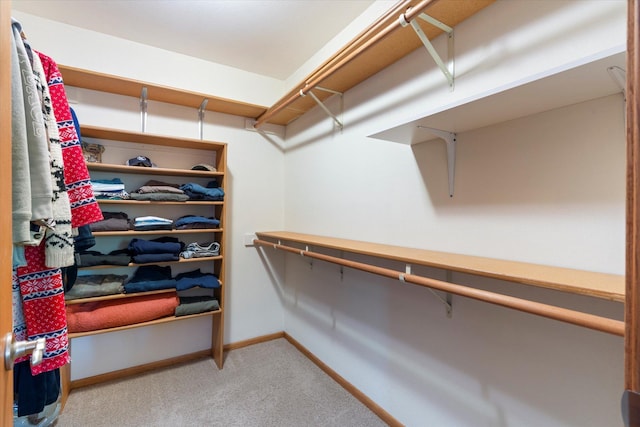 11690 Harbor Ln, Ideal Twp, MN 56442 - walk in closet featuring light colored carpet