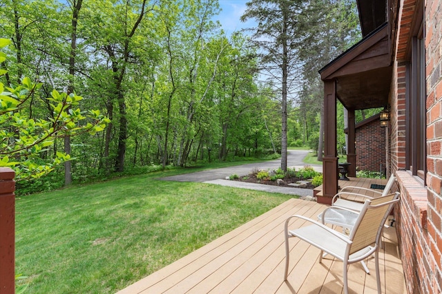 11690 Harbor Ln, Ideal Twp, MN 56442 - porch featuring a yard