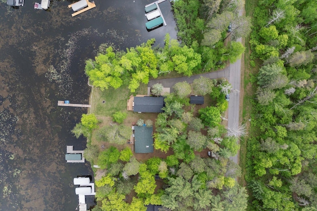 11690 Harbor Ln, Ideal Twp, MN 56442 - aerial view of property's location