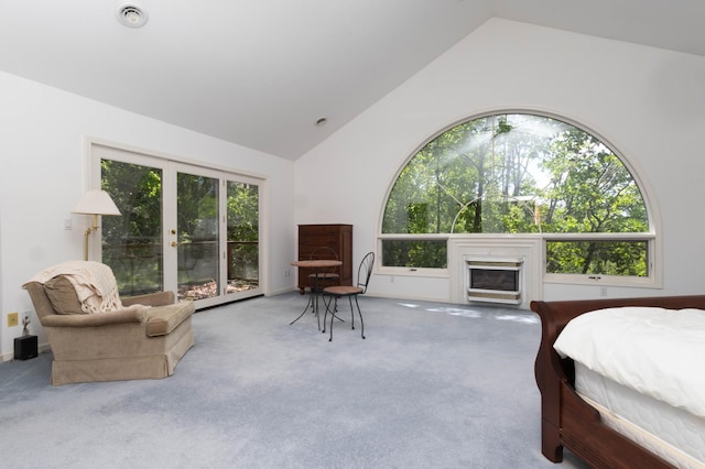 6323 Timber Trl, Edina, MN 55439 - carpeted bedroom featuring access to exterior, a fireplace, and high vaulted ceiling