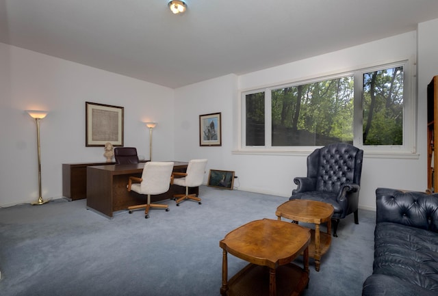 6323 Timber Trl, Edina, MN 55439 - view of carpeted office