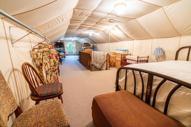 N12011 County Road Ss, Otter Creek Twp, WI 54772 - bedroom featuring lofted ceiling and carpet flooring