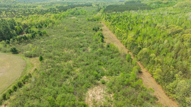 N12011 County Road Ss, Otter Creek Twp, WI 54772 - bird's eye view of a forest
