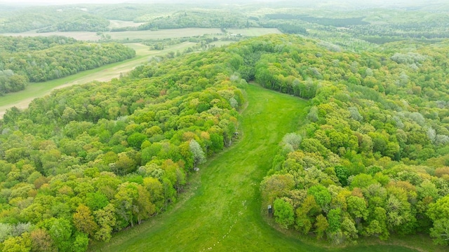 N12011 County Road Ss, Otter Creek Twp, WI 54772 - bird's eye view of a heavily wooded area