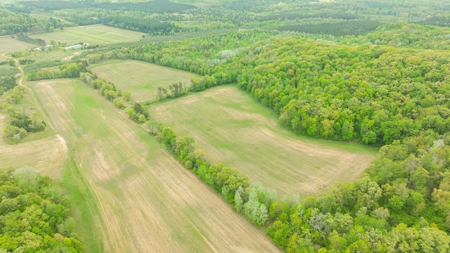 N12011 County Road Ss, Otter Creek Twp, WI 54772 - bird's eye view of a heavily wooded area