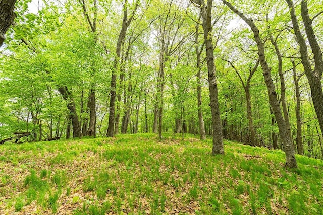 N12011 County Road Ss, Otter Creek Twp, WI 54772 - view of woods