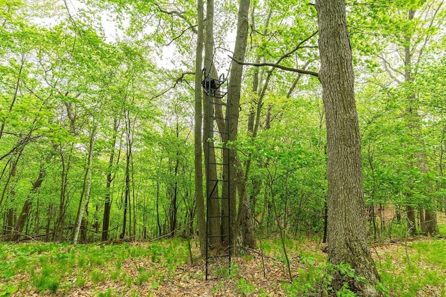 N12011 County Road Ss, Otter Creek Twp, WI 54772 - view of tree filled area