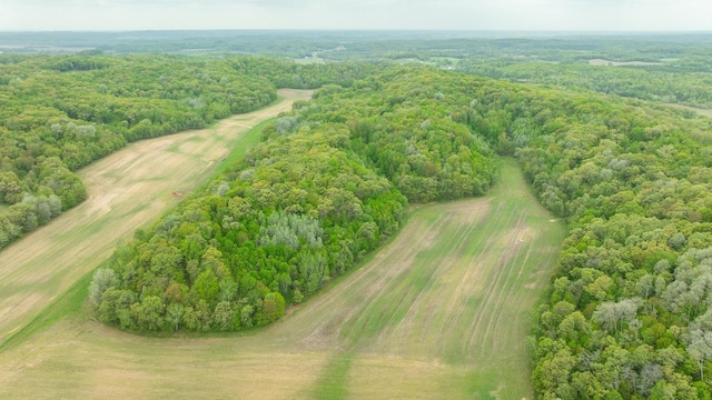 N12011 County Road Ss, Otter Creek Twp, WI 54772 - aerial view of a heavily wooded area