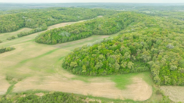 N12011 County Road Ss, Otter Creek Twp, WI 54772 - aerial view of a heavily wooded area