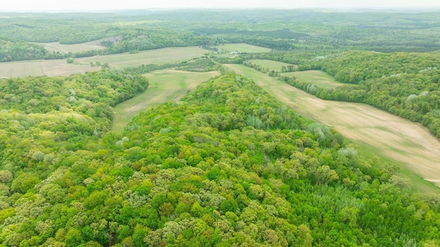N12011 County Road Ss, Otter Creek Twp, WI 54772 - bird's eye view of a heavily wooded area