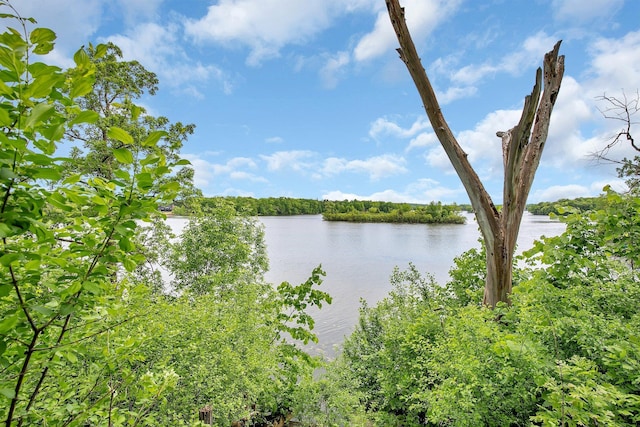 16736 County Road 49, Cold Spring, MN 56320 - water view