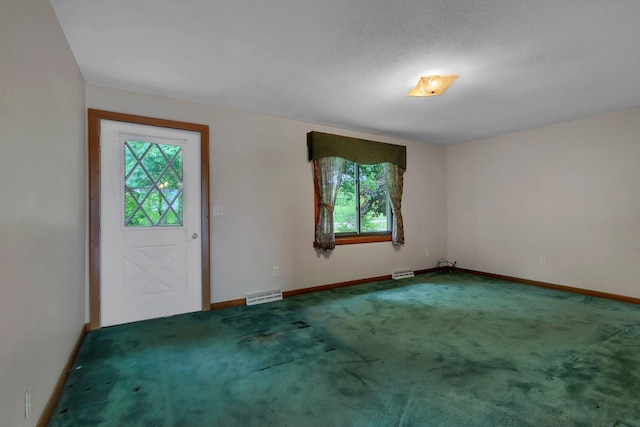 16736 County Road 49, Cold Spring, MN 56320 - entrance foyer with plenty of natural light, carpet flooring, and baseboards