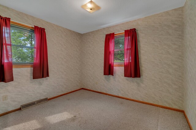 16736 County Road 49, Cold Spring, MN 56320 - unfurnished room featuring healthy amount of natural light and carpet floors