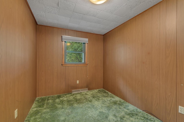 16736 County Road 49, Cold Spring, MN 56320 - spare room with carpet floors and wood walls