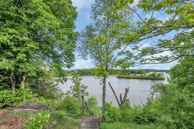 16736 County Road 49, Cold Spring, MN 56320 - water view