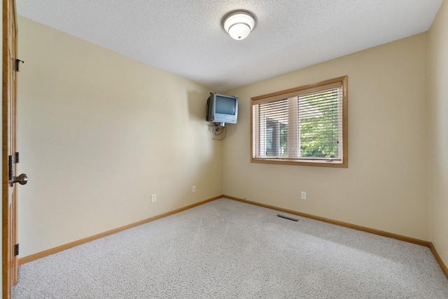 2475 Mossy Creek Dr NE, Owatonna, MN 55060 - empty room featuring carpet flooring and a textured ceiling