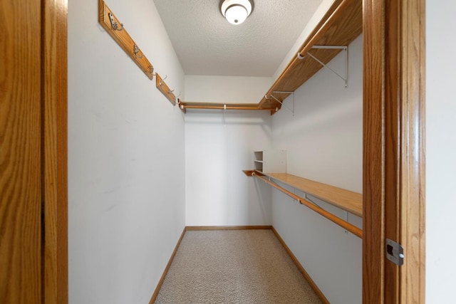 2475 Mossy Creek Dr NE, Owatonna, MN 55060 - spacious closet featuring light carpet