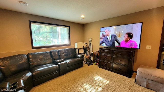 9695 Independence Cir Unit 4, Chanhassen, MN 55317 - living area with carpet and recessed lighting
