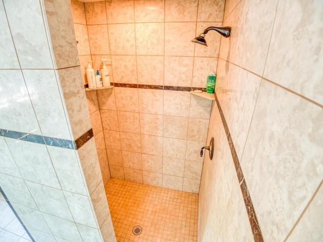 10719 Lumberjack Rd NW, Alaska Twp, MN 56667 - bathroom with a shower stall