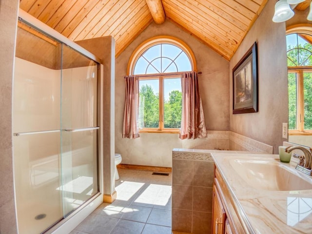 10719 Lumberjack Rd NW, Alaska Twp, MN 56667 - full bath with healthy amount of natural light, tile patterned flooring, lofted ceiling, wood ceiling, and a shower stall