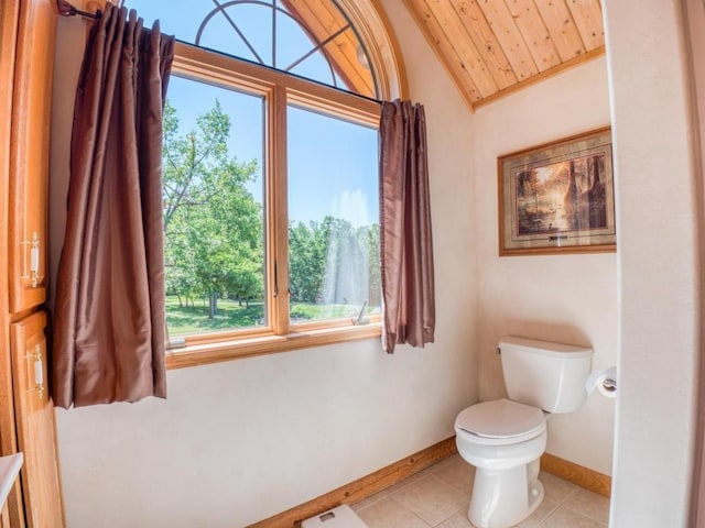 10719 Lumberjack Rd NW, Alaska Twp, MN 56667 - half bathroom featuring plenty of natural light, baseboards, toilet, lofted ceiling, and wood ceiling